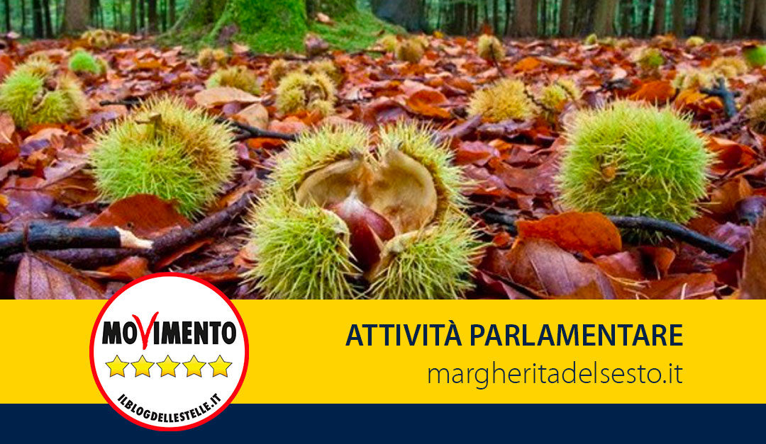 Danni alla castanicoltura